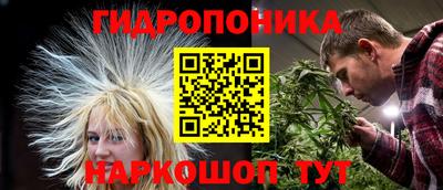 apvp Дубна