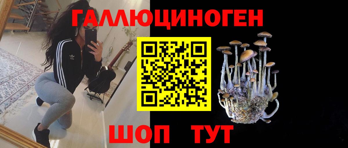 Псилоцибиновые грибы мухоморы Истра